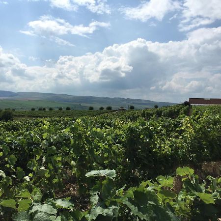 Wineyards Salin Bed & Breakfast Turda Ngoại thất bức ảnh