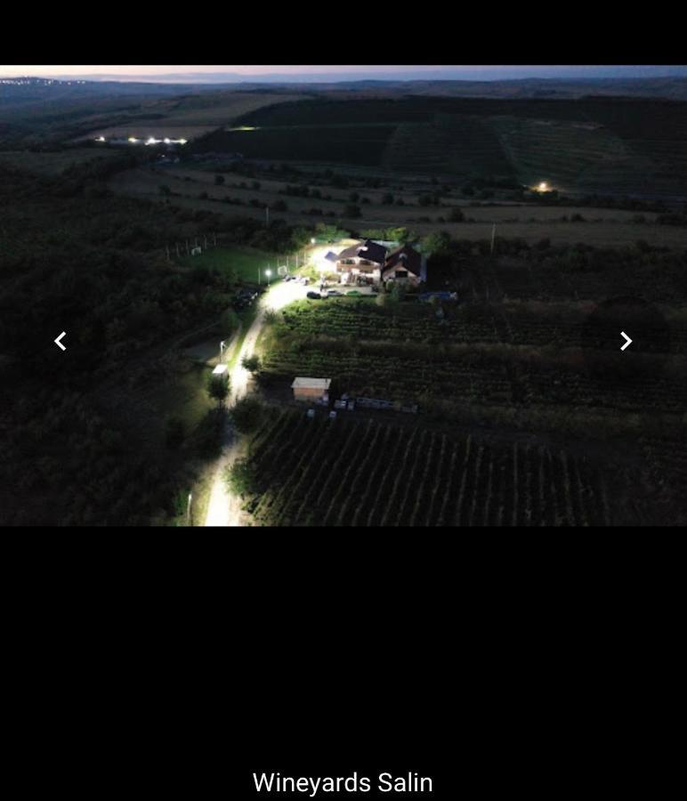 Wineyards Salin Bed & Breakfast Turda Ngoại thất bức ảnh