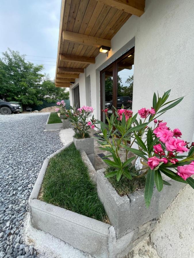 Wineyards Salin Bed & Breakfast Turda Ngoại thất bức ảnh