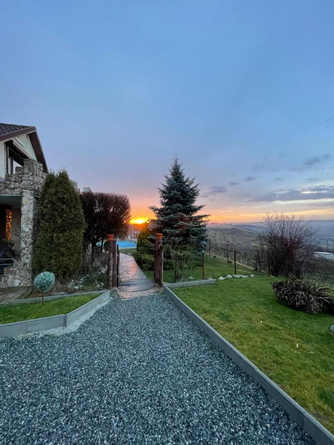 Wineyards Salin Bed & Breakfast Turda Ngoại thất bức ảnh