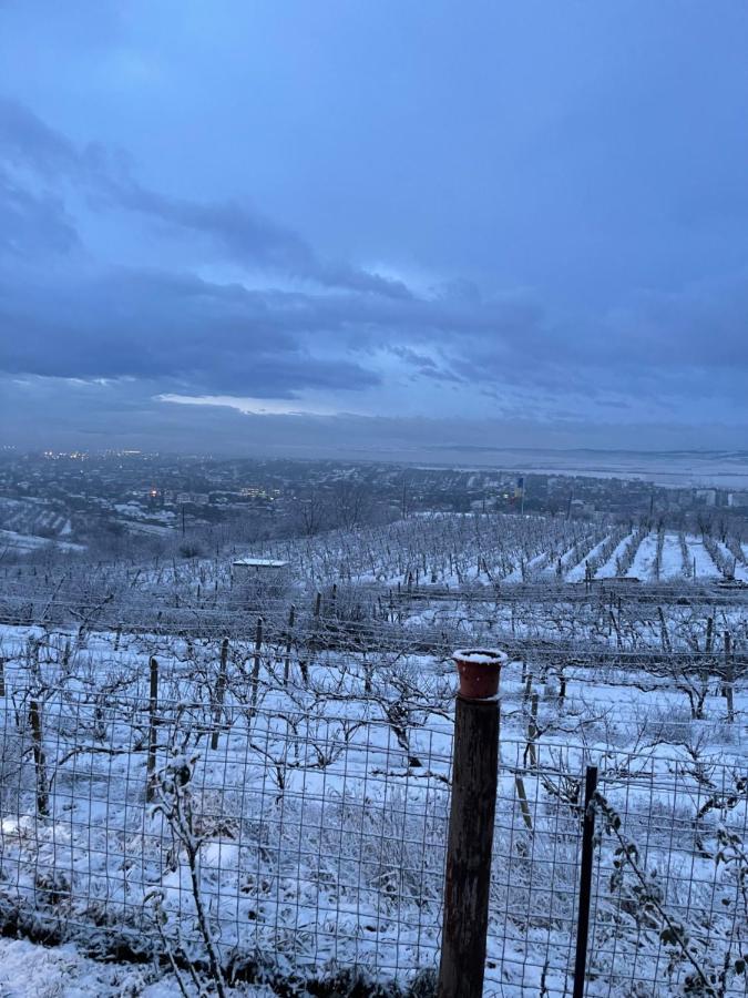 Wineyards Salin Bed & Breakfast Turda Ngoại thất bức ảnh