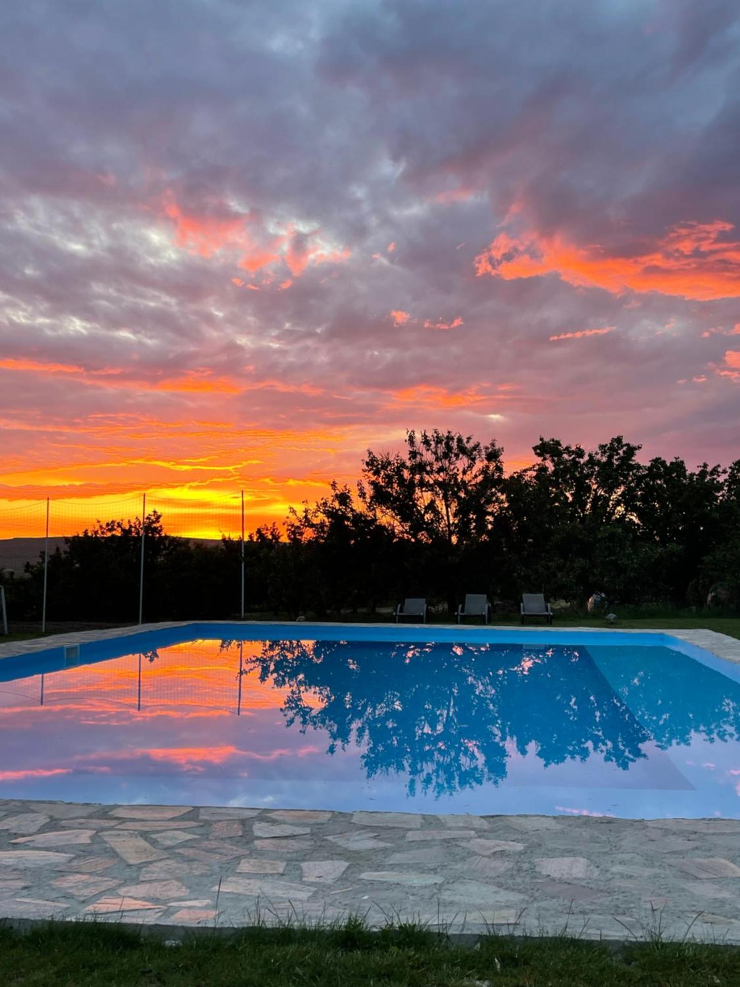 Wineyards Salin Bed & Breakfast Turda Ngoại thất bức ảnh